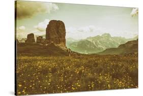 Floral Fields-Aledanda-Stretched Canvas