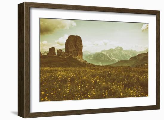 Floral Fields-Aledanda-Framed Photographic Print