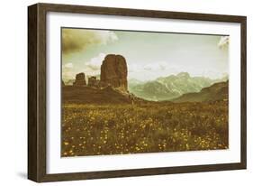 Floral Fields-Aledanda-Framed Photographic Print