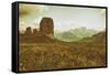 Floral Fields-Aledanda-Framed Stretched Canvas