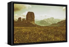 Floral Fields-Aledanda-Framed Stretched Canvas