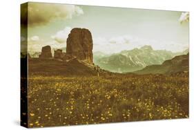 Floral Fields-Aledanda-Stretched Canvas