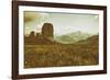 Floral Fields-Aledanda-Framed Photographic Print