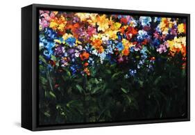 Floral Fields-Sydney Edmunds-Framed Stretched Canvas
