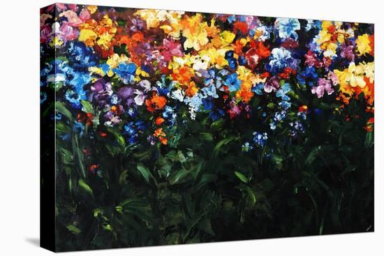 Floral Fields-Sydney Edmunds-Stretched Canvas