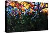 Floral Fields-Sydney Edmunds-Stretched Canvas