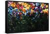 Floral Fields-Sydney Edmunds-Framed Stretched Canvas