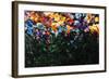 Floral Fields-Sydney Edmunds-Framed Giclee Print