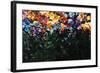 Floral Fields-Sydney Edmunds-Framed Giclee Print