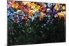 Floral Fields-Sydney Edmunds-Mounted Giclee Print