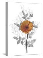 Floral Finds - Grow-Collezione Botanica-Stretched Canvas