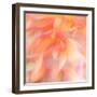 Floral Flames II-Doug Chinnery-Framed Photographic Print