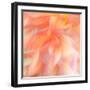 Floral Flames II-Doug Chinnery-Framed Photographic Print