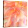 Floral Flames II-Doug Chinnery-Stretched Canvas