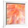 Floral Flames II-Doug Chinnery-Framed Photographic Print