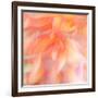 Floral Flames II-Doug Chinnery-Framed Photographic Print