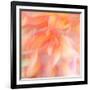 Floral Flames II-Doug Chinnery-Framed Photographic Print