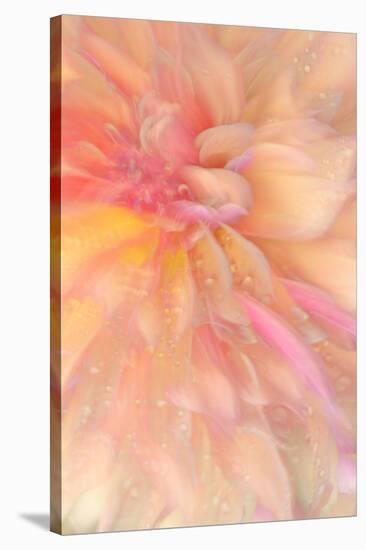 Floral Flames III-Doug Chinnery-Stretched Canvas