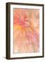 Floral Flames III-Doug Chinnery-Framed Photographic Print