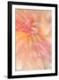 Floral Flames III-Doug Chinnery-Framed Photographic Print