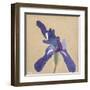 Floral Focus - Bloom-Gaetan Caron-Framed Giclee Print