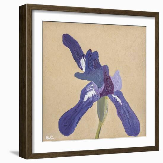 Floral Focus - Bloom-Gaetan Caron-Framed Giclee Print