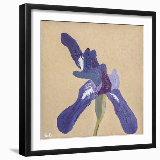 Floral Focus - Bloom-Gaetan Caron-Framed Giclee Print
