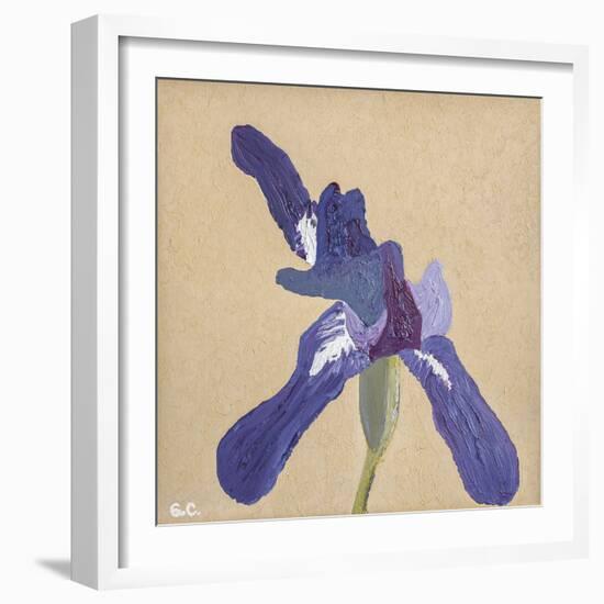 Floral Focus - Bloom-Gaetan Caron-Framed Giclee Print