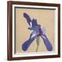 Floral Focus - Bloom-Gaetan Caron-Framed Giclee Print