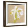 Floral Focus - Thrive-Gaetan Caron-Framed Giclee Print