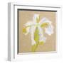 Floral Focus - Thrive-Gaetan Caron-Framed Giclee Print