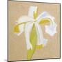 Floral Focus - Thrive-Gaetan Caron-Mounted Giclee Print