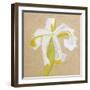 Floral Focus - Thrive-Gaetan Caron-Framed Giclee Print