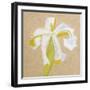 Floral Focus - Thrive-Gaetan Caron-Framed Giclee Print