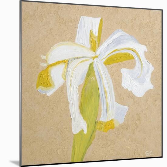 Floral Focus - Thrive-Gaetan Caron-Mounted Giclee Print