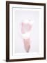 Floral Fouetté-Paige Craig-Framed Limited Edition