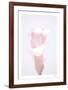 Floral Fouetté-Paige Craig-Framed Limited Edition