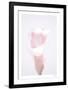 Floral Fouetté-Paige Craig-Framed Limited Edition