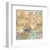 Floral Frenzy Coastal I-Alan Hopfensperger-Framed Art Print