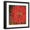 Floral Frenzy Red V-Alan Hopfensperger-Framed Art Print