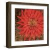 Floral Frenzy Red V-Alan Hopfensperger-Framed Art Print