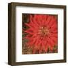 Floral Frenzy Red V-Alan Hopfensperger-Framed Art Print