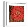 Floral Frenzy Red V-Alan Hopfensperger-Framed Art Print