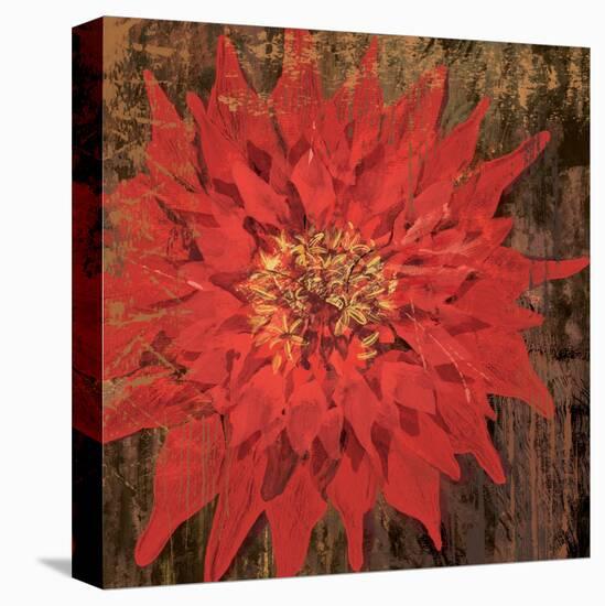 Floral Frenzy Red VI-Alan Hopfensperger-Stretched Canvas