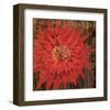 Floral Frenzy Red VI-Alan Hopfensperger-Framed Art Print