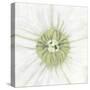 Floral Fresh - Center-Belle Poesia-Stretched Canvas