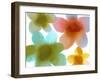 Floral Friends I-Hannah Carlson-Framed Art Print