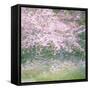 Floral Froth I-Doug Chinnery-Framed Stretched Canvas