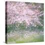 Floral Froth I-Doug Chinnery-Stretched Canvas