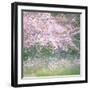 Floral Froth I-Doug Chinnery-Framed Photographic Print